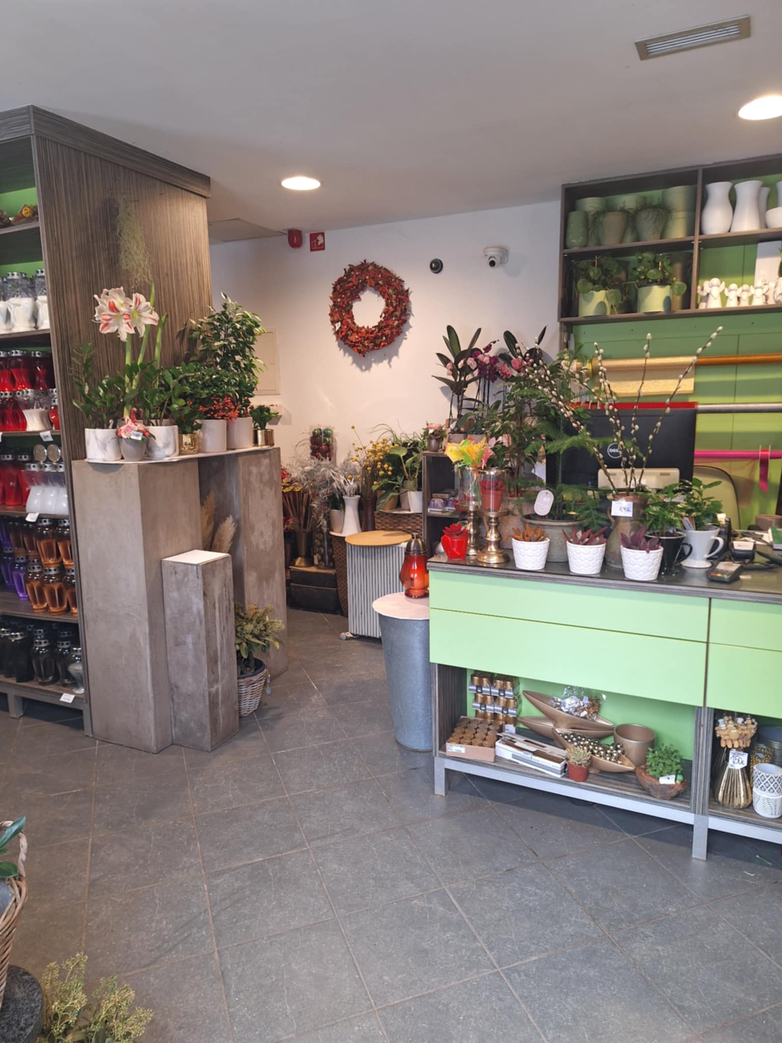 682330ea 1a12 4e24 be9a 683f7c5cfd2e