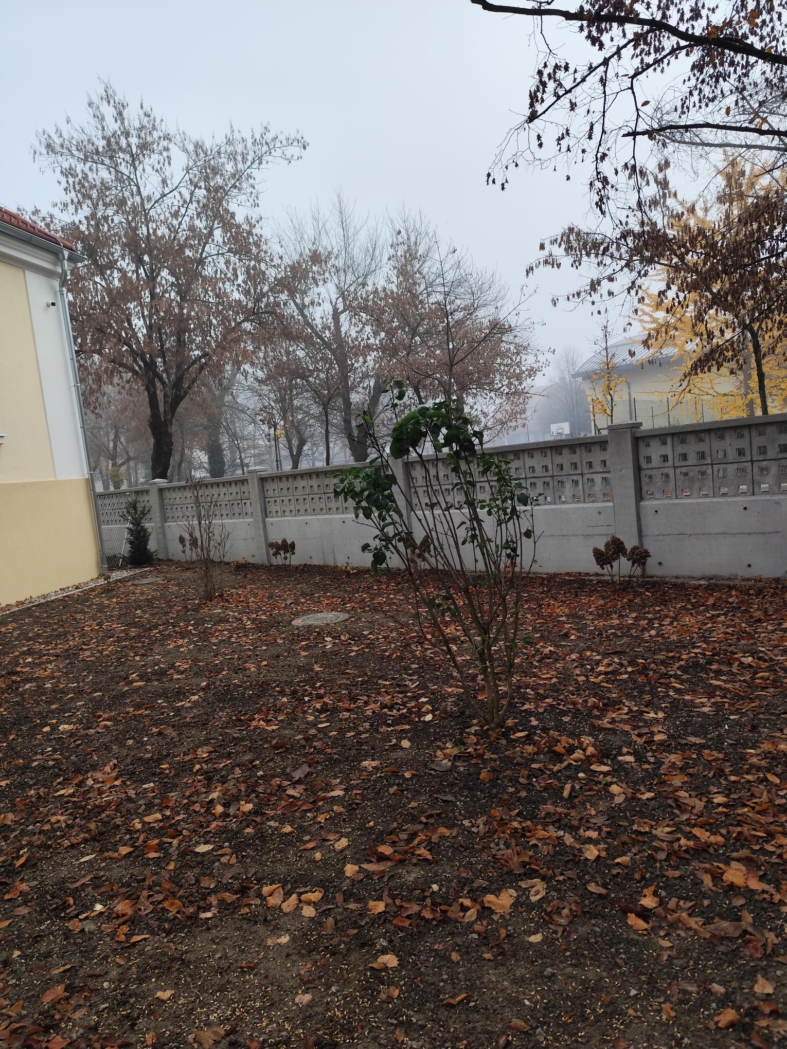 IMG 20251105 081721
